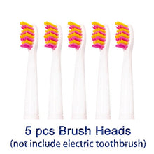 将图片加载到图库查看器，New Seago Sonic Electric Toothbrush SG-507 Adult Timer Brush USB Charger Rechargeable Tooth Brushes /Replacement Brush Heads/box
