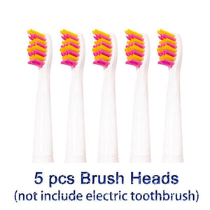 New Seago Sonic Electric Toothbrush SG-507 Adult Timer Brush USB Charger Rechargeable Tooth Brushes /Replacement Brush Heads/box