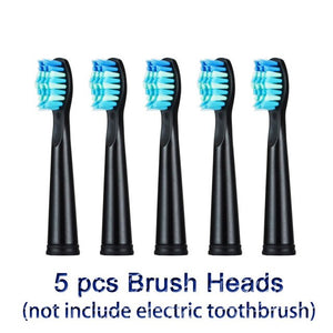 New Seago Sonic Electric Toothbrush SG-507 Adult Timer Brush USB Charger Rechargeable Tooth Brushes /Replacement Brush Heads/box