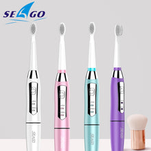 将图片加载到图库查看器，SEAGO Electric Toothbrush Sonic Adult Battery Tooth Brushes Gum Health Waterproof Best Gift with 3 Replacement Brush Heads SG910
